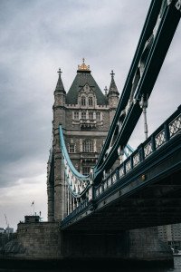 3 Image 3