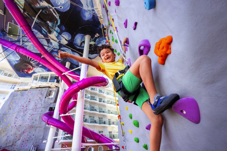 Rock Climbing Wall