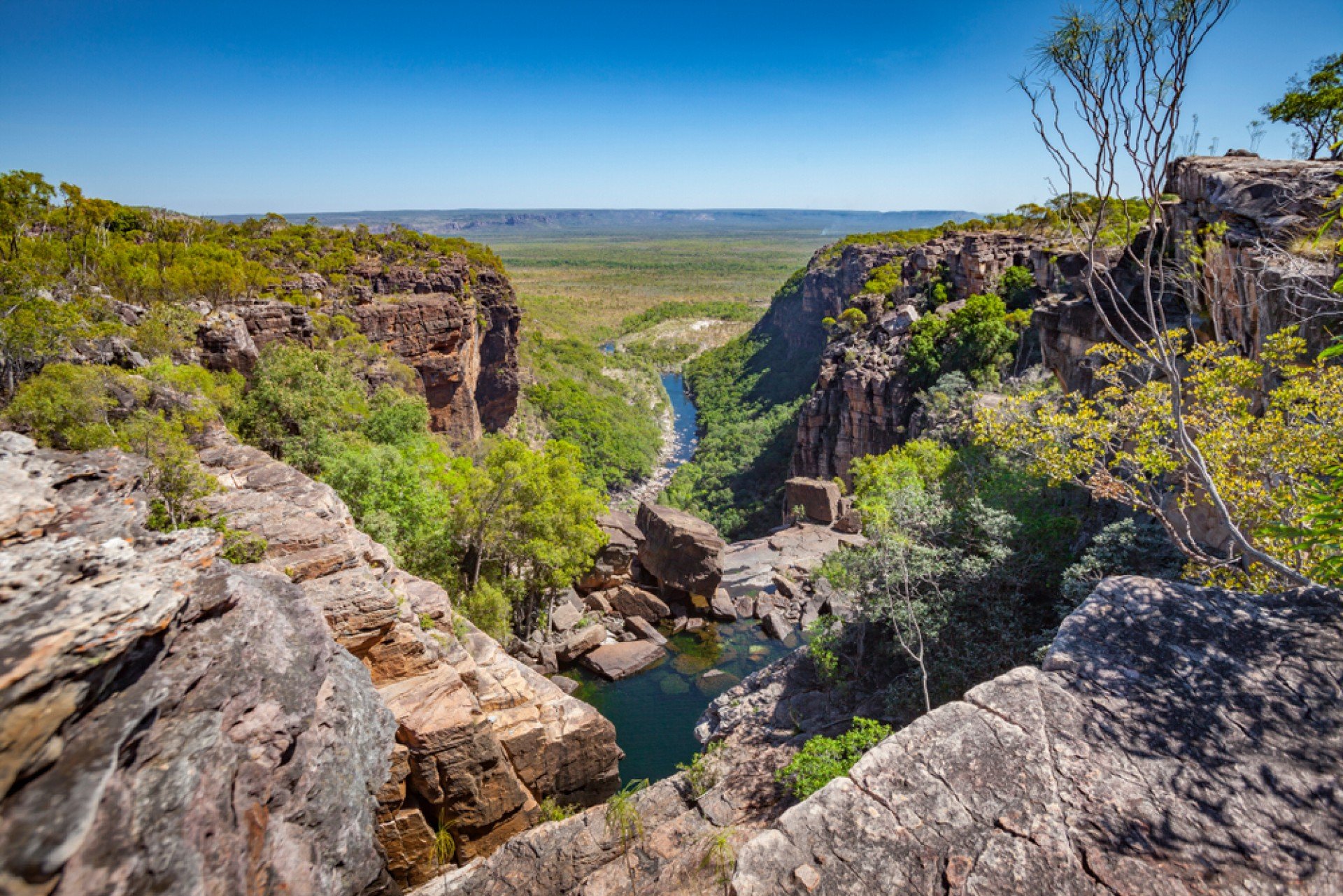 Region Image