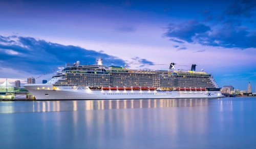 Celebrity Reflection Image