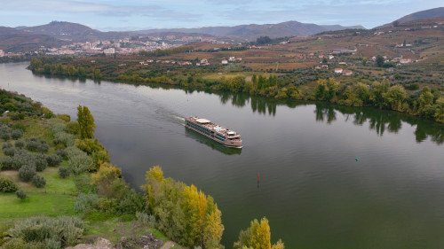 MS Estrela Image