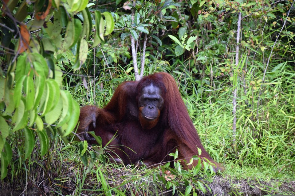 5 Image 5