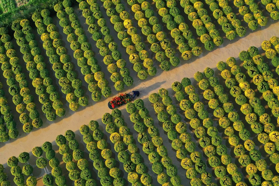 Vietnam
