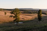 11 Image 11