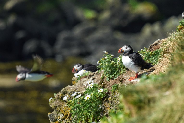 Polar Expedition Team