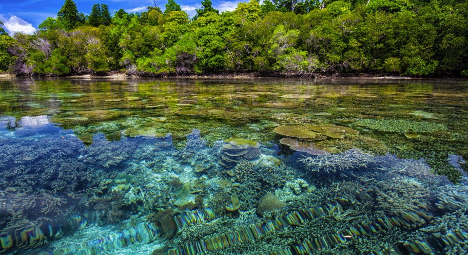 Indonesia