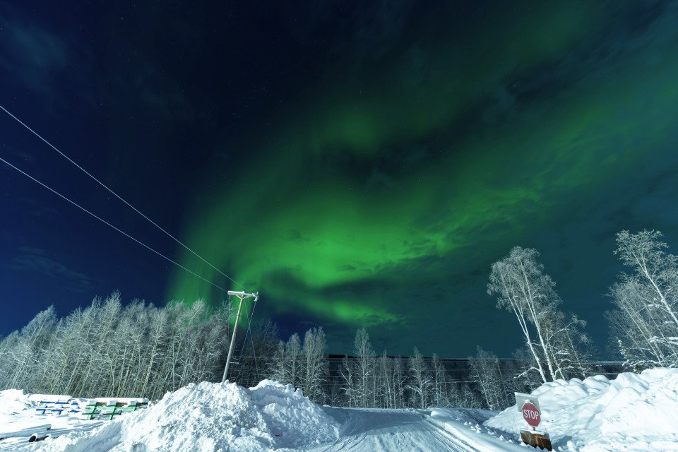 12 Image 12