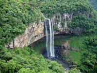 11 Image 11