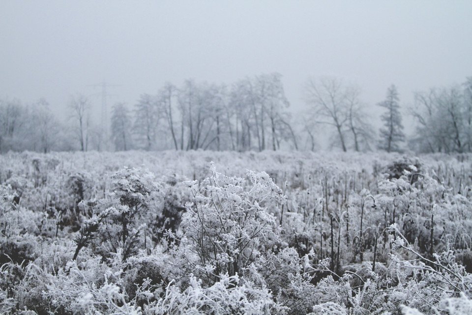10 Image 10