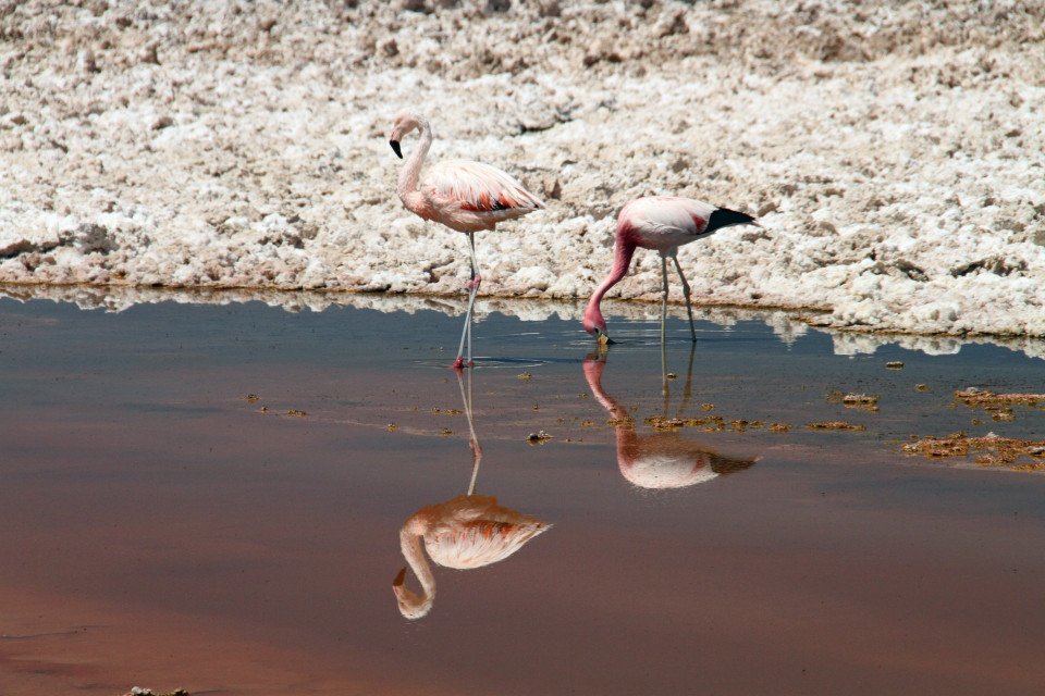 13-Night Buenos Aires to Ushuaia search image