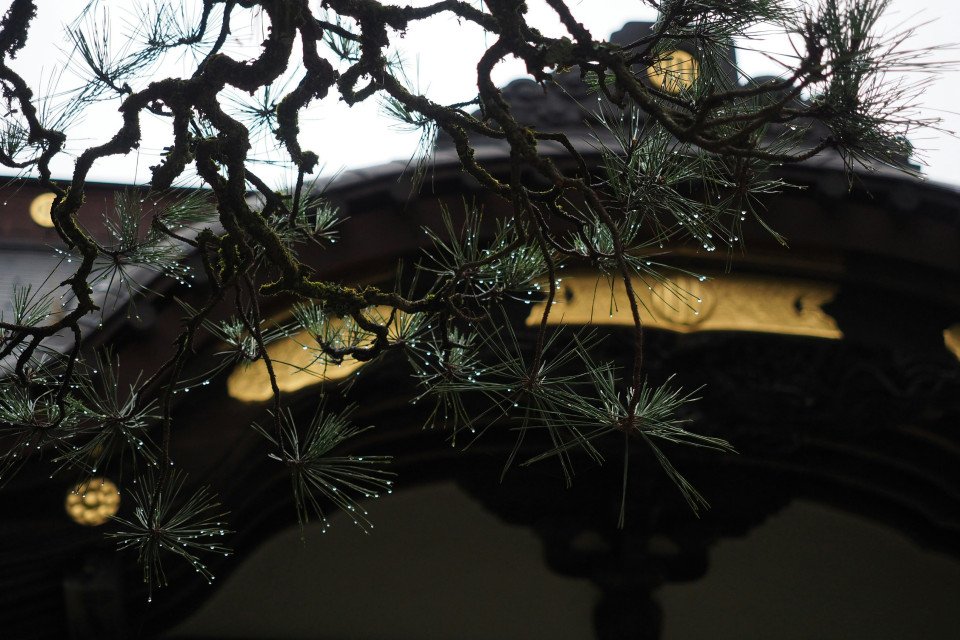 21 Image 21