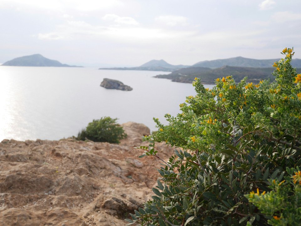 2 Image 2