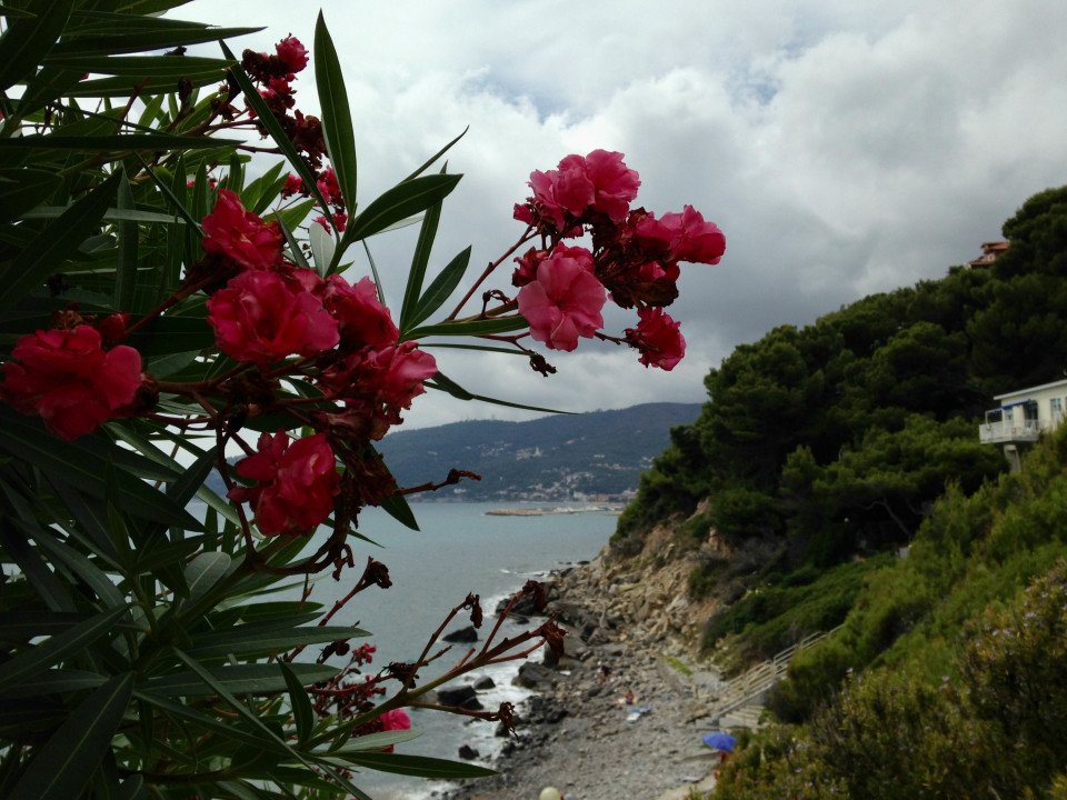 6 Image 6