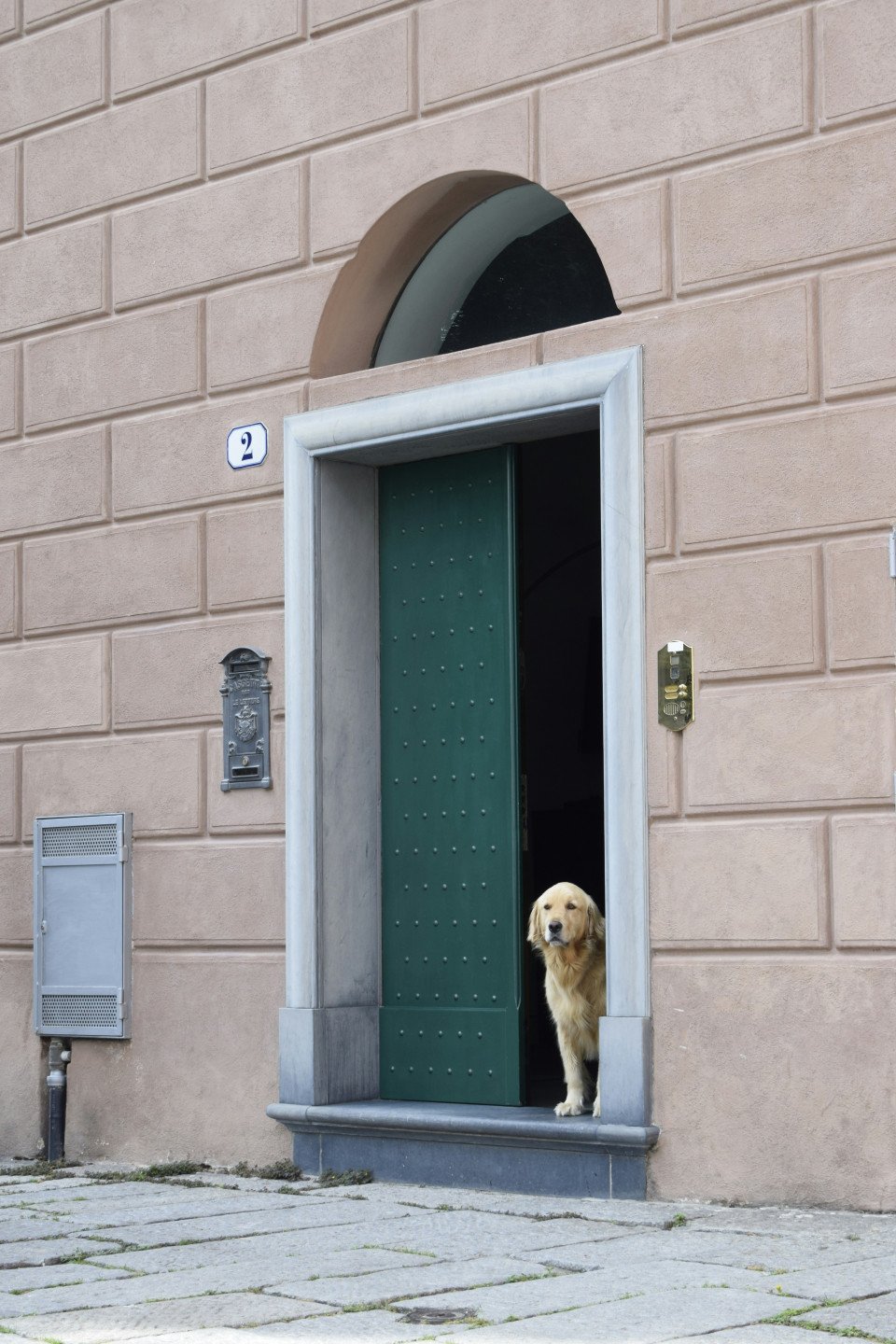 8 Image 8