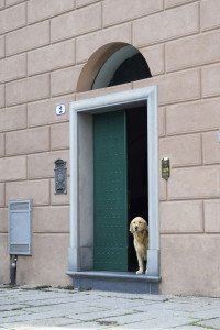 8 Image 8