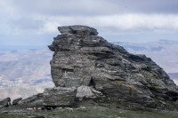 11 Image 11
