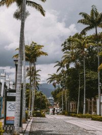 10 Image 10
