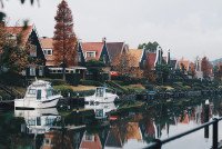 11 Image 11