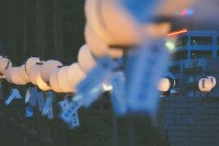 11 Image 11