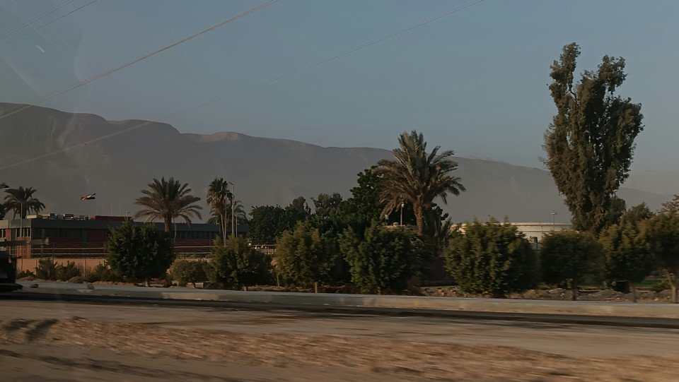 12 Image 12