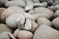 14 Image 14
