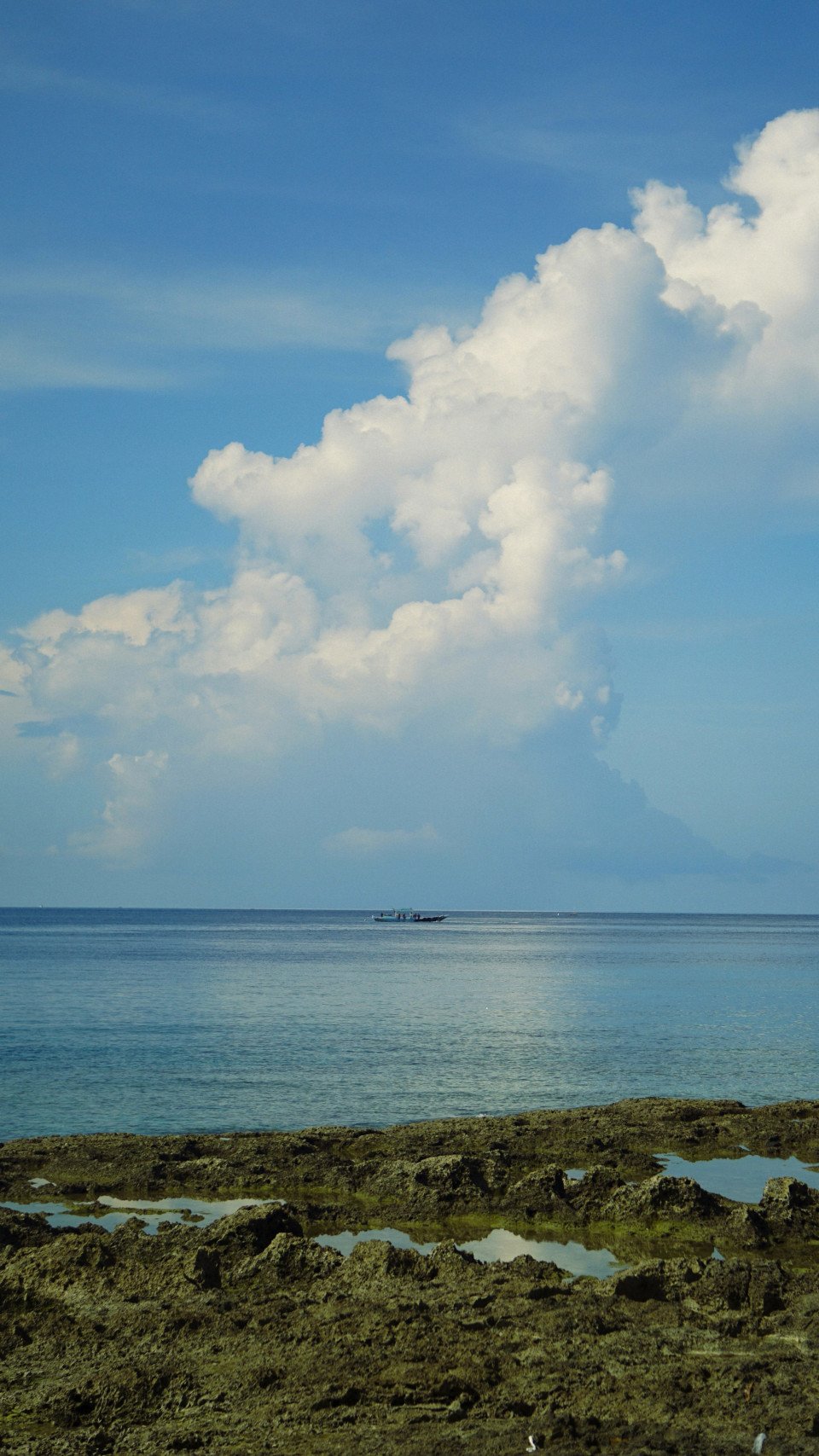 3 Image 3