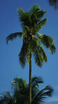 2 Image 2