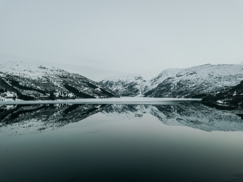 5 Image 5