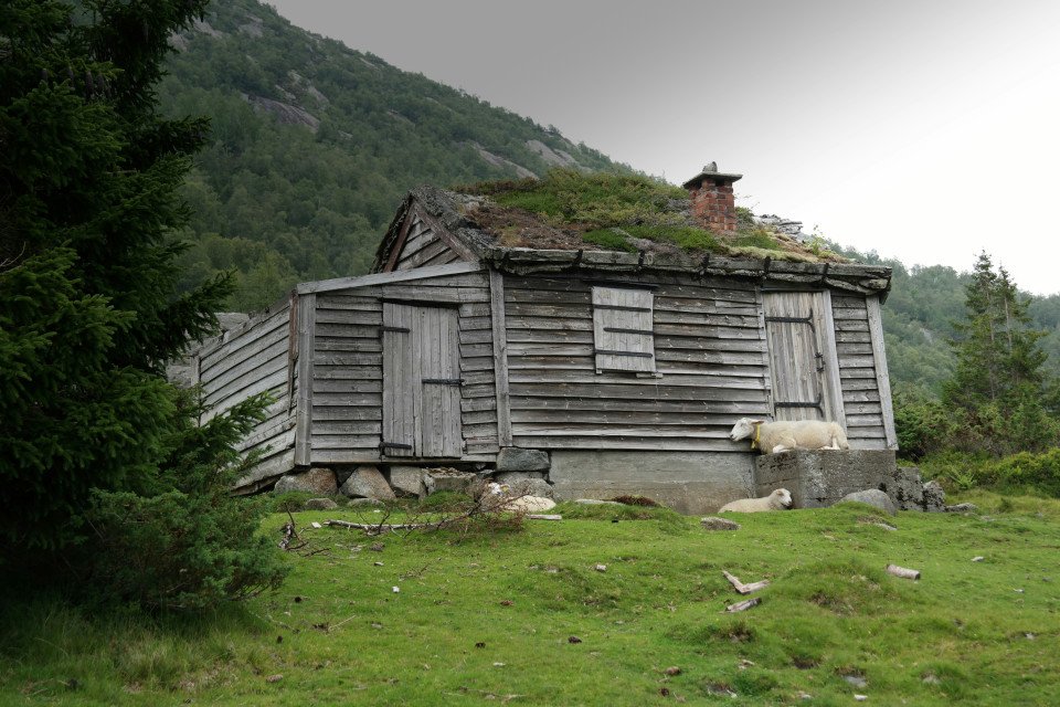 11 Image 11