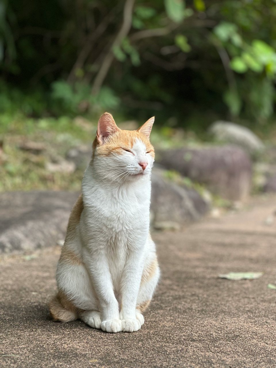 10 Image 10