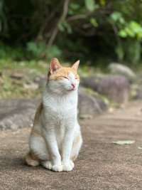 10 Image 10