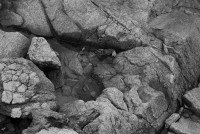 5 Image 5