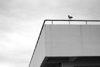12 Image 12