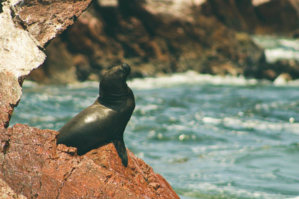Peru