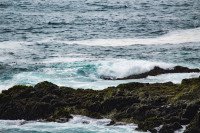 21 Image 21