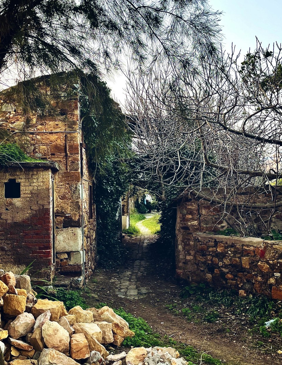 6 Image 6