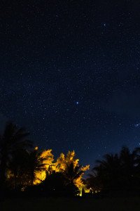 5 Image 5