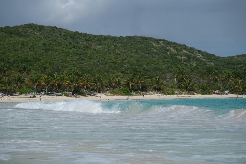 7 Image 7