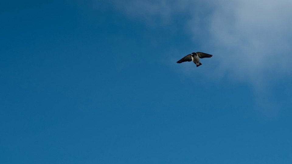 7 Image 7