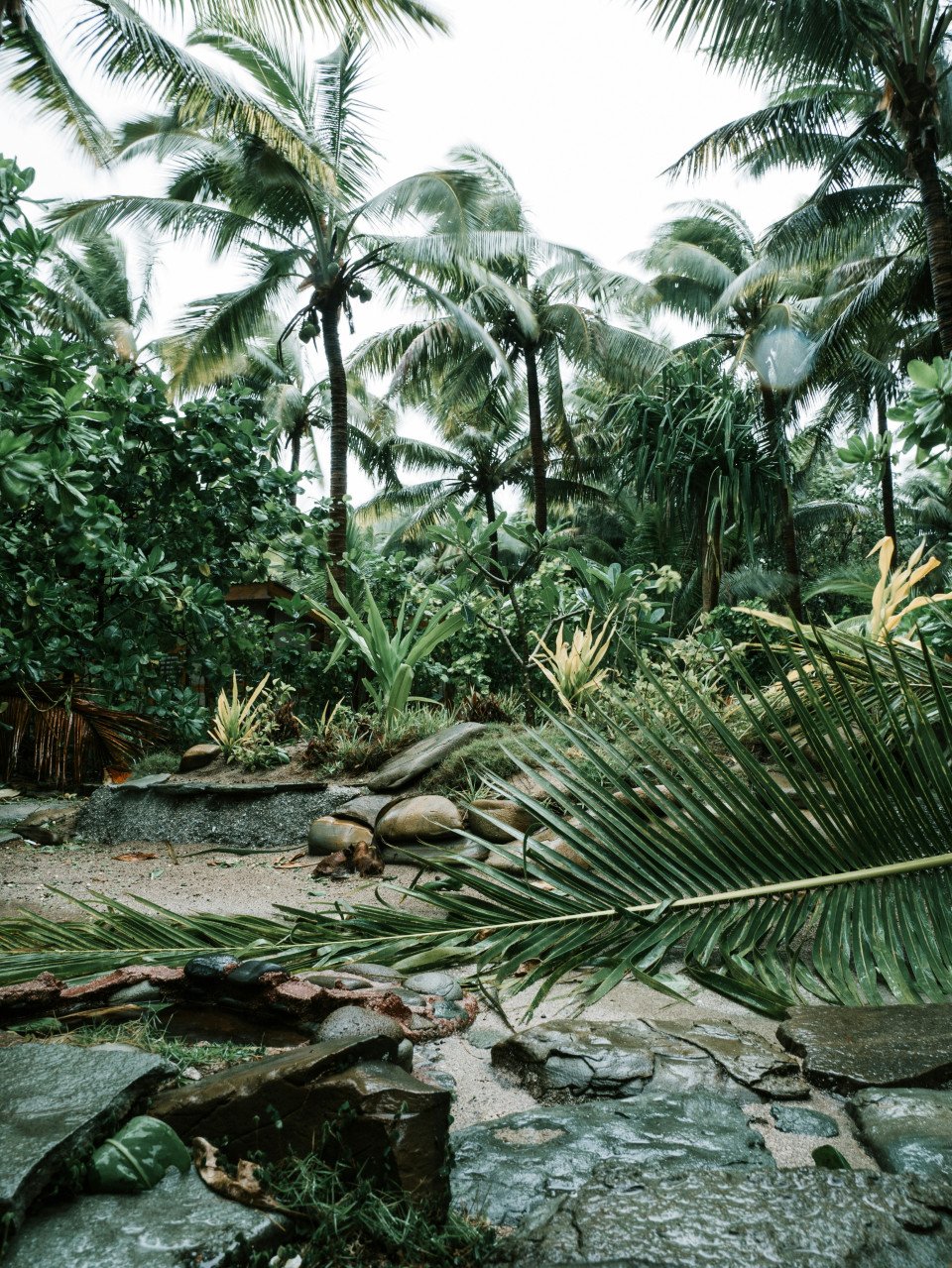 27 Image 27
