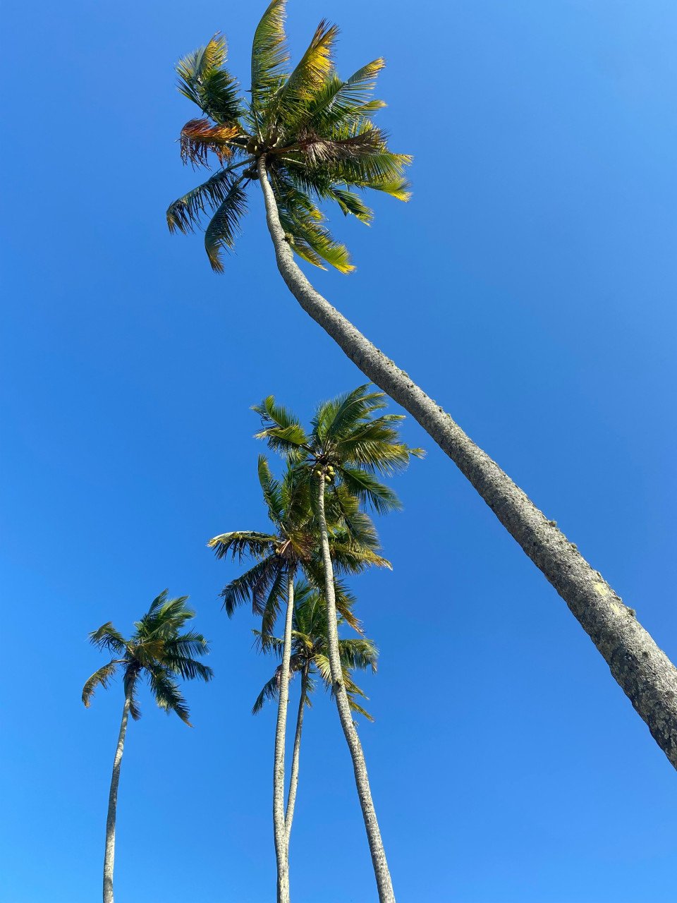 7 Image 7