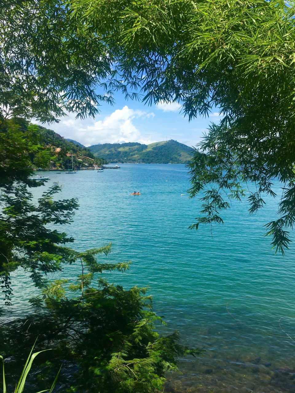 6 Image 6