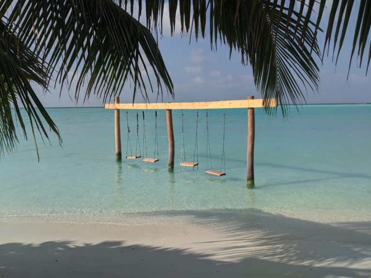 Boundless Discoveries