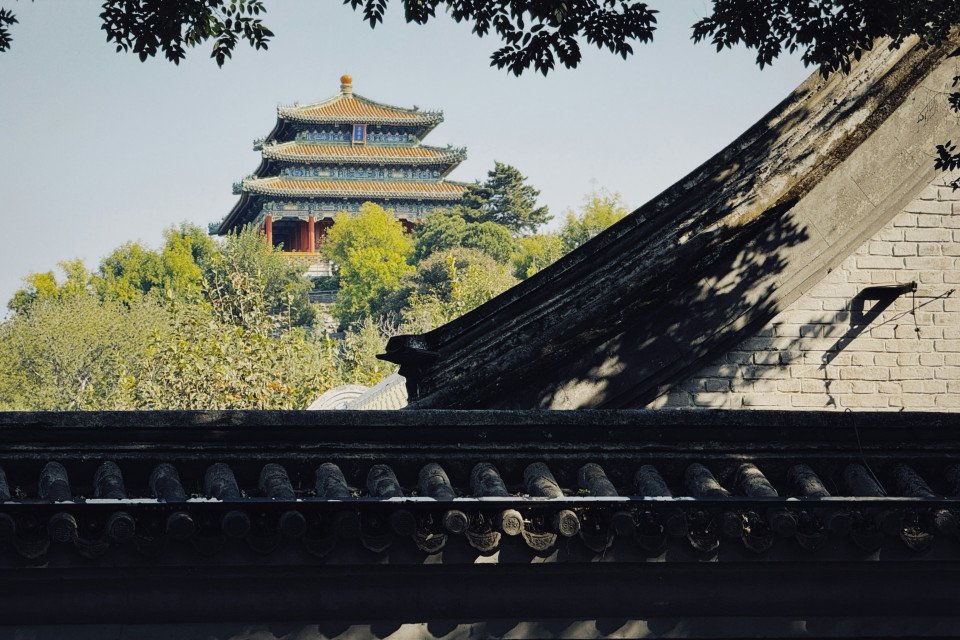 3 Image 3