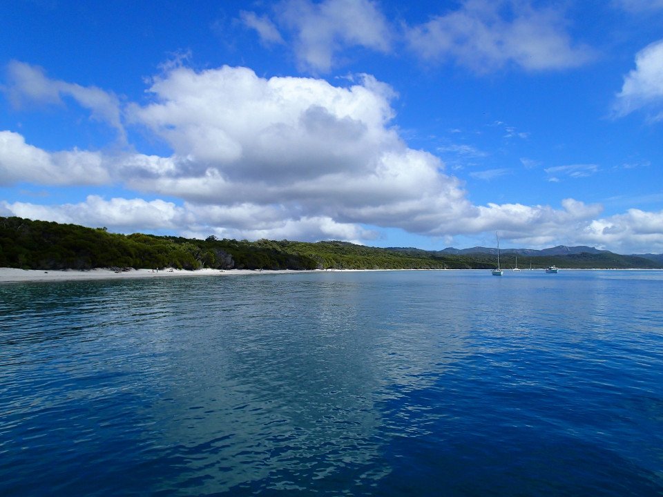 12 Image 12