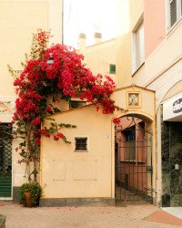 6 Image 6