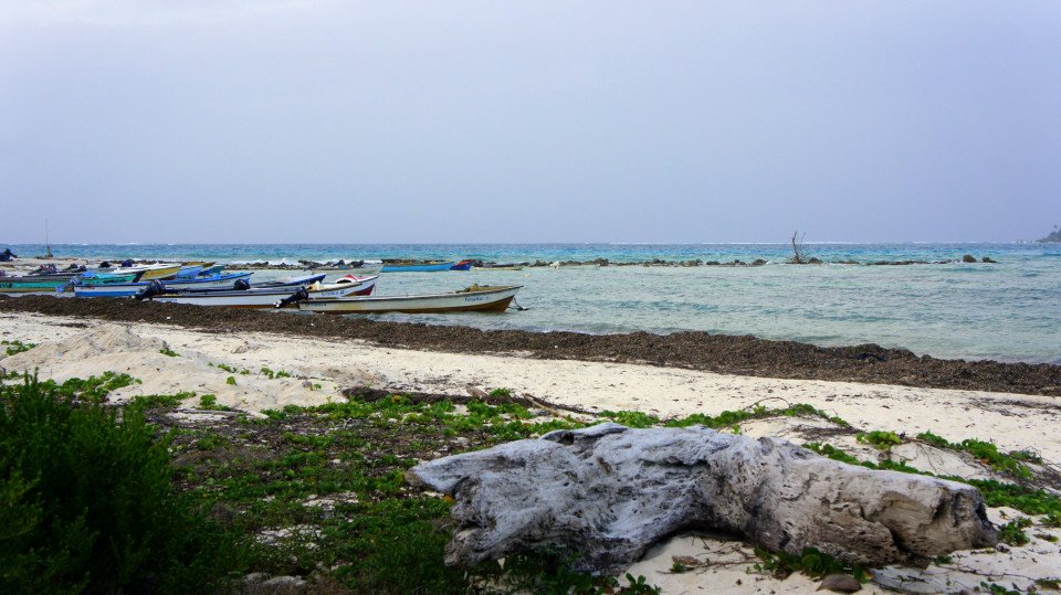 18 Image 18