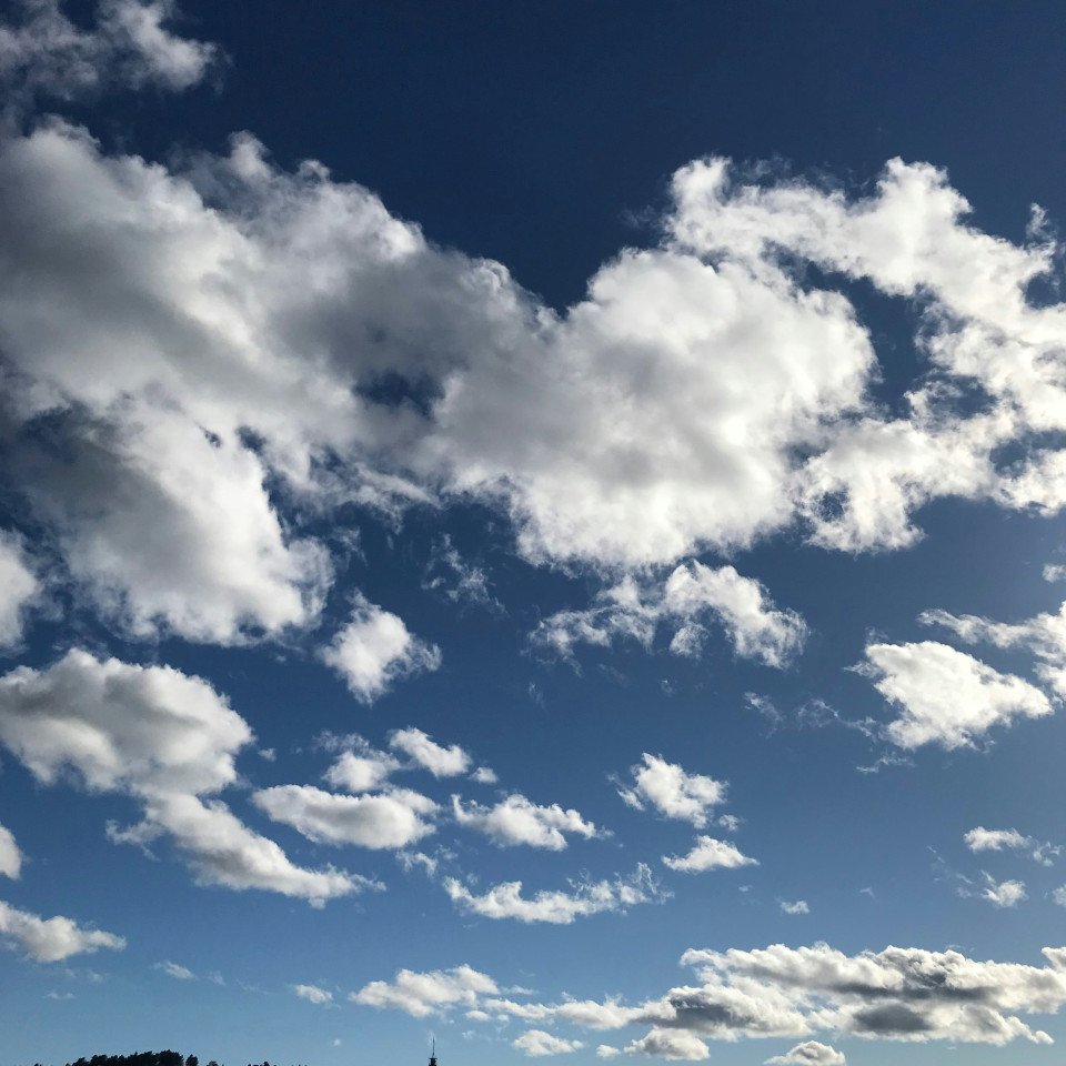35 Image 35