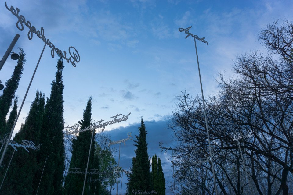 15 Image 15