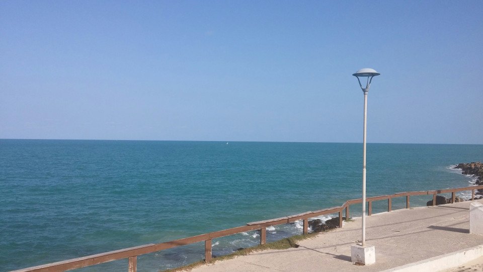 7 Image 7